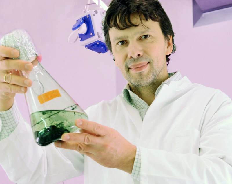 Dan Kramer, Algenol Biofuels Germany GmbH
