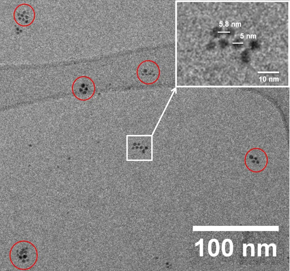 Kryo-TEM Aufnahme von Gold Nanoteilchen in dem besonderen Lösungsmittel. Die Sputterzeit beträgt 300 s. Domänen mit selbstangeordneten Nanoteilchen sind rot markiert. Bild: HU Berlin/HZB: Bild: HU Berlin/HZB