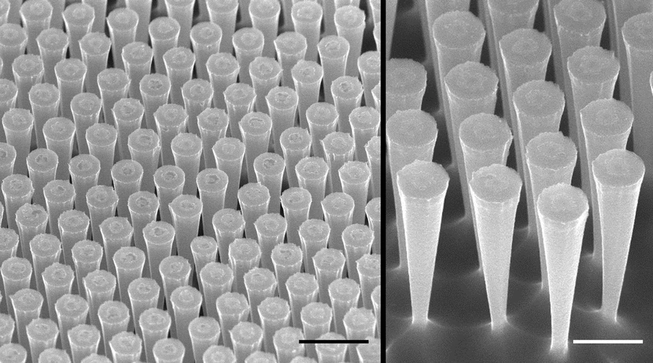 Silicon substrate with etched funnels. Credit: S. Schmitt/MPL