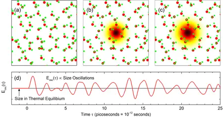 Graphische Darstellung eines oszillierenden Polarons in flüssigem Wasser © MBI