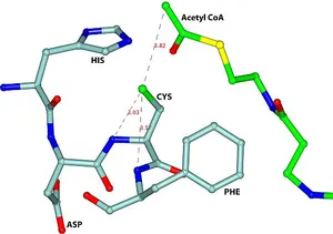 Abb.: HZB