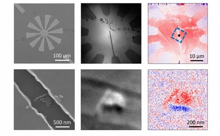 Microscopic images with scale bars ranging from 10 micrometres to 500 nanometres