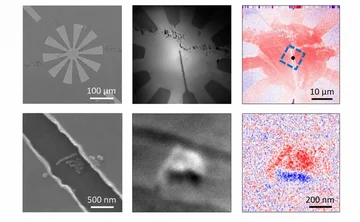 Microscopic images with scale bars ranging from 10 micrometres to 500 nanometres