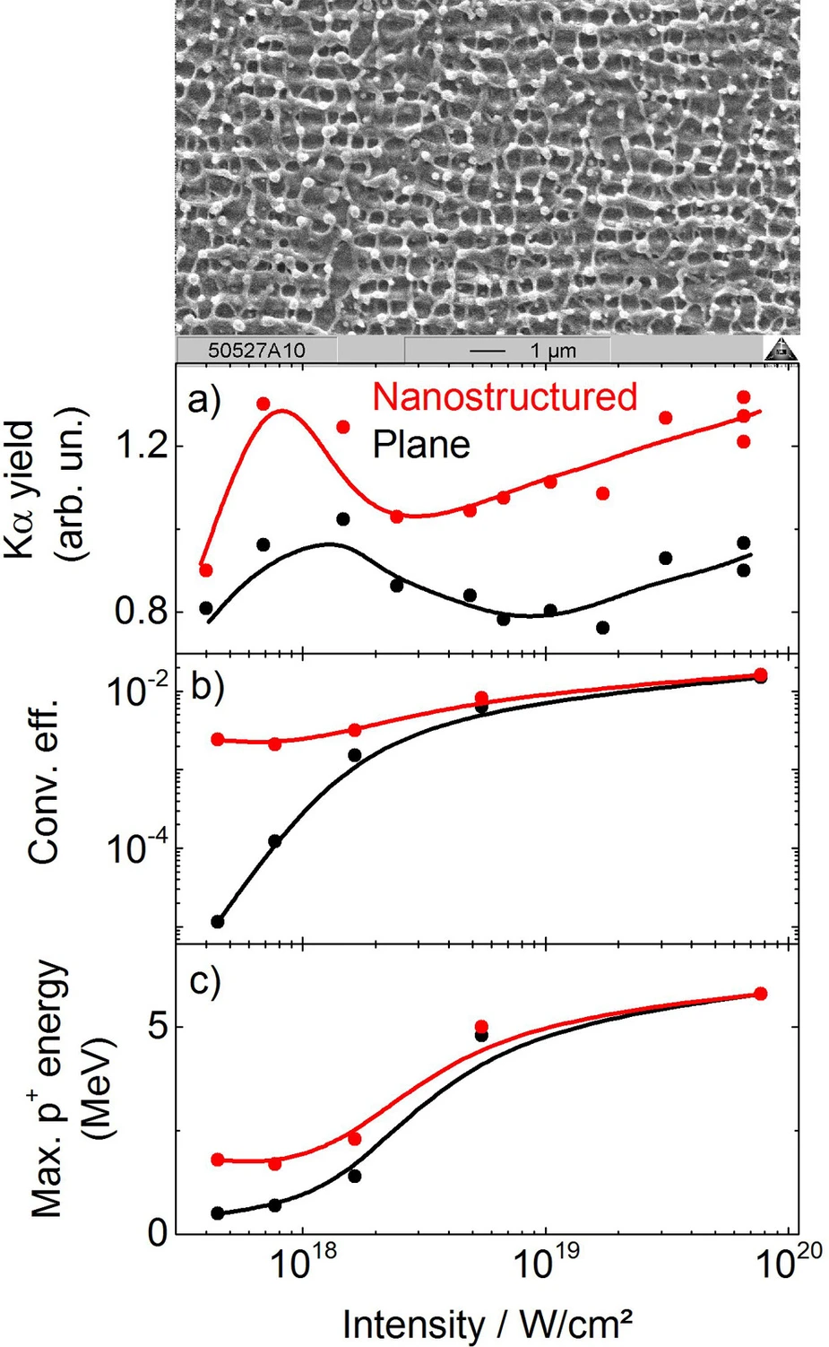 scanning electron microscopy image of nanostructured titanium surface