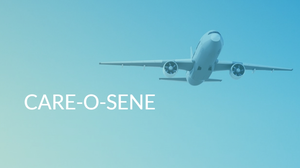 Flugzeug. Grafik: care-o-sene.com