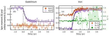 Zeitlicher Verlauf des Spin- und Bahndrehimpulses von Gd und Fe in der Legierung. Bild: MBI