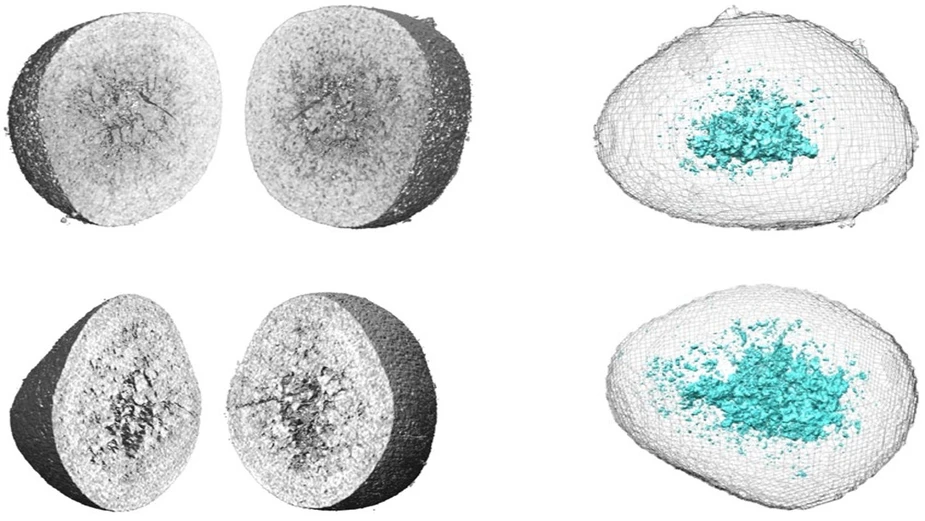 Nanotomographischen Aufnahmen eines LRTMO-Teilchens vor dem ersten Ladezyklus und nach 10 Ladezyklen © HZB