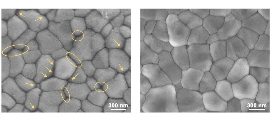 Comparison of perovskite films © G. Li/HZB