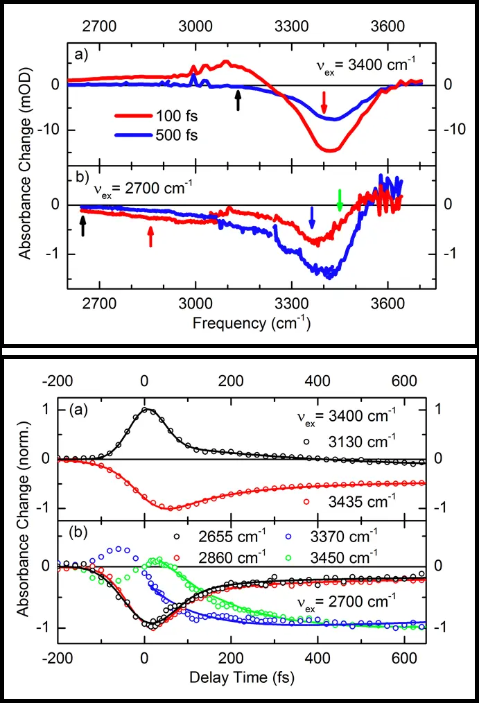 Fig. 2: Transient IR spectra showing the distinct response of the OH stretching mode and the Zundel continuum after femtosecond excitation