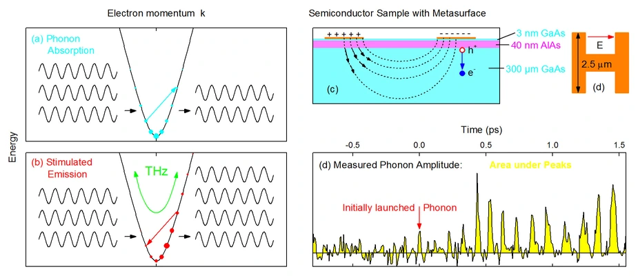 Phonons in gallium arsenide. Picture: MBI