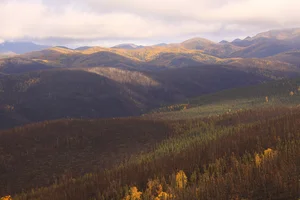 Weite, mit Wald bedeckte Hügellandschaft