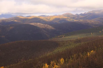 Weite, mit Wald bedeckte Hügellandschaft