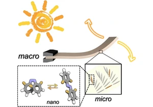 Converting sunlight directly into motion by organizing light-responsive molecules. Figure: Dr. David Bléger