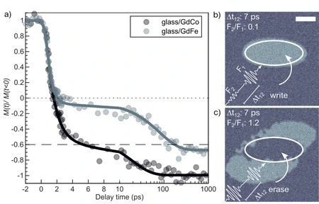 Fig1: Switching dynamics of GdFe/GdCo alloy © MBI