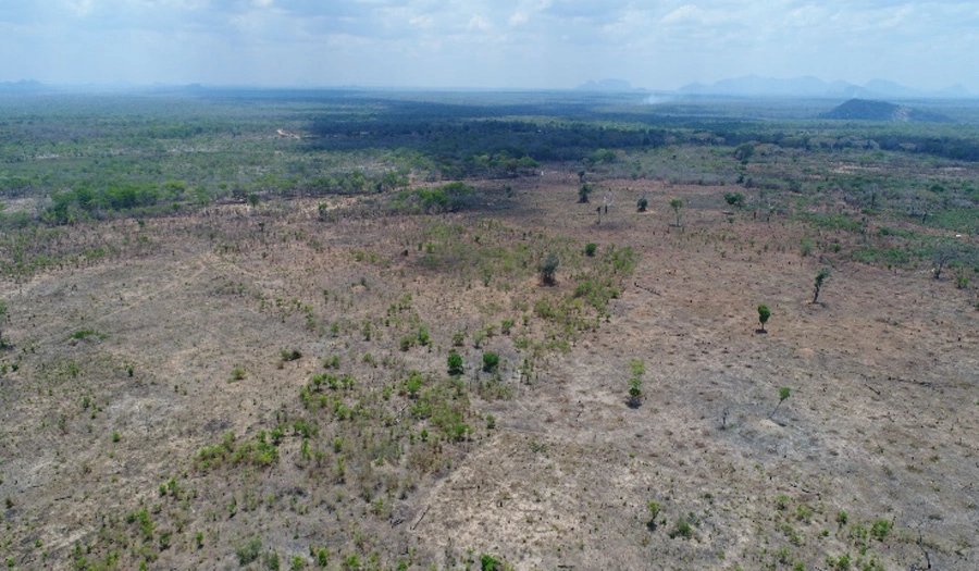 eforestation in the Miombo woodlands of Mozambique. (Picture: Phillipe Ruffin)