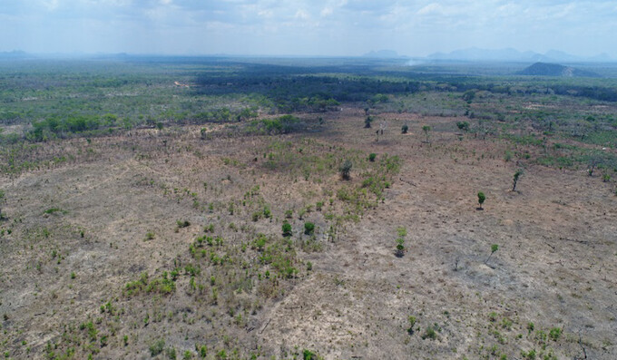 Abholzung von Miombo-Wäldern in Mosambik (Foto: Phillipe Ruffin)