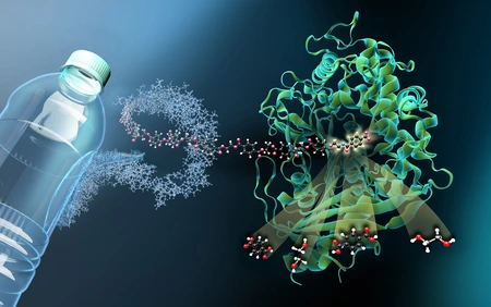 MHET-molecules from PET plastic. Copyright: M. Künsting/HZB