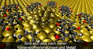 Bild: Georg Heimel/HU Berlin