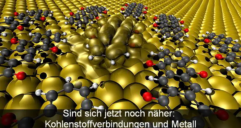 Bild: Georg Heimel/HU Berlin