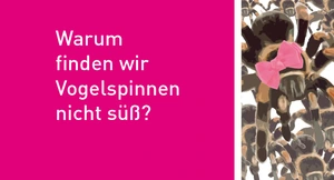 Warum finden wir Vogelspinnen nicht süß? Jugend forscht in Berlin Adlershof.  Bild: WISTA