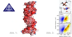 MBI Figure Schauss