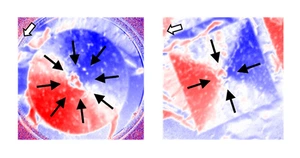 Spin textures in samples consisting of a ferromagnetic material on a superconducting YBCO island © HZB