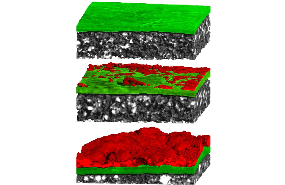 Tomography of a lithium electrode. Copyright: M. Osenberg / I. Manke / HZB