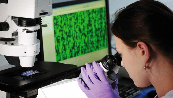 Mikroskopische Auswertung der Bindung von fluoreszierenden Blutplättchen auf Kollagen, Bild: © Adlershof Journal