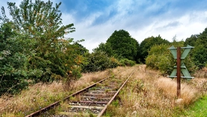 Ungenutzte Bahnschienen, von Gras überwuchert