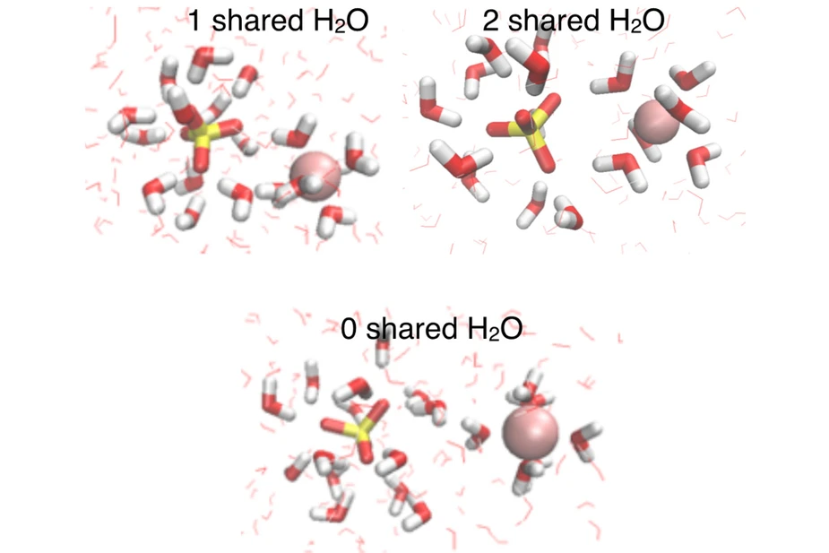 Abb. 2: Strukturelle Darstellung von Ionenpaaren © MBI