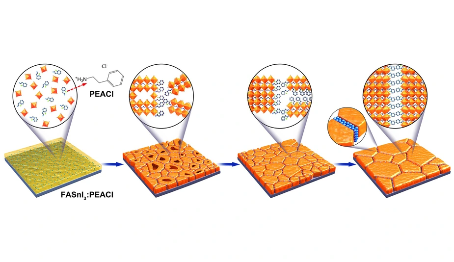 Structure of FASnI3:PEACl films © Meng Li/HZB