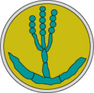 Logo: SLM-Speziallabor für angewandte Mikrobiologie GmbH