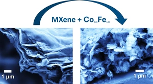 Image from scanning electron microscope