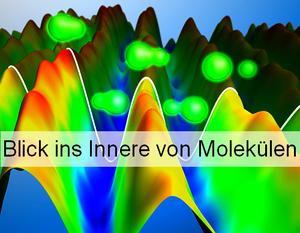 Bild: © Max-Born-Institut für Nichtlineare Optik und Kurzzeitspektroskopie