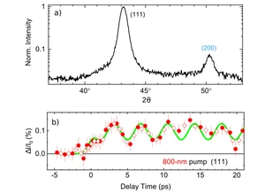 Fig1 © MBI