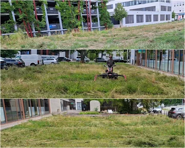 Collage aus Fotos von Wiesenflächen