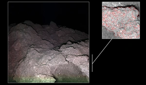 DLR Planetenforschung Asteroid Ryugu, Quelle: MASCOT/DLR/JAXA.