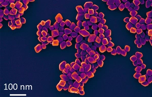 Titandioxid-Nanopartikel unter dem Elektronenmikroskop © BAM