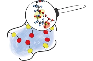 PFIA-molecules: Illustration: Heike Cords/HZB