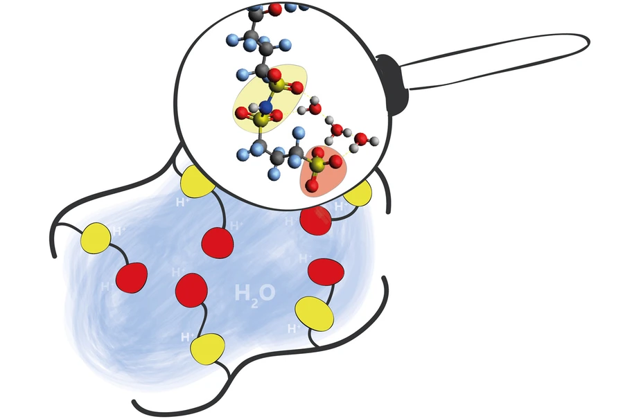 PFIA-molecules: Illustration: Heike Cords/HZB