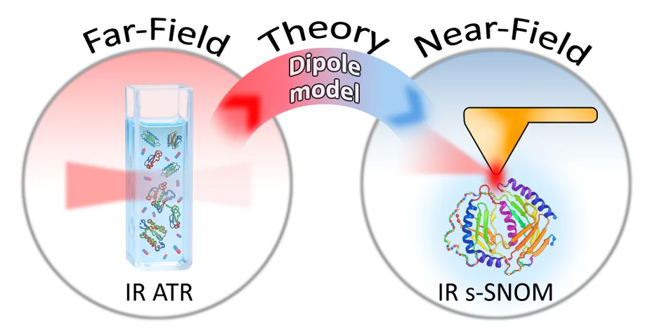Schematic illustration of two molecular samples of different sizes, connected by an arrow