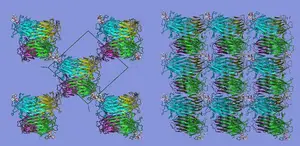 Arrangement of protein concanavalin A molecules in two different protein crystalline frameworks. Credit: Fudan University/HZB