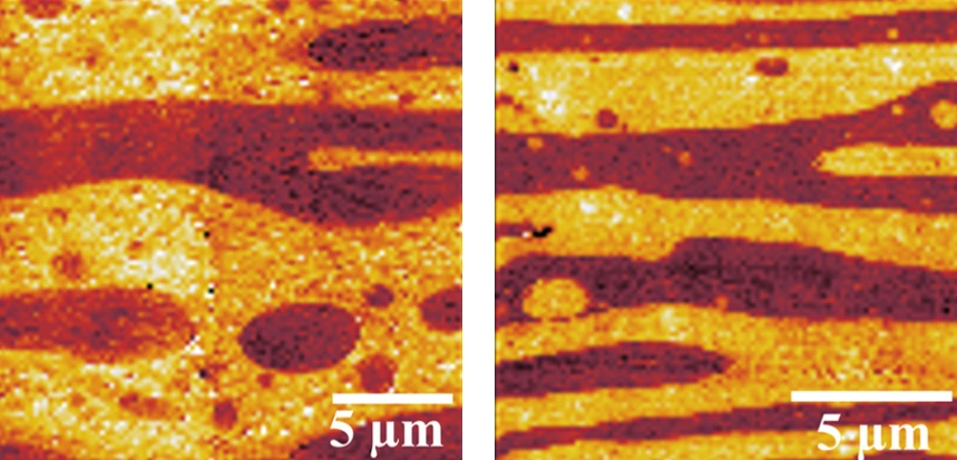 Layer structures of two PVDF/PLLA mixtures in nano-IR imaging © TU Eindhoven/HZB
