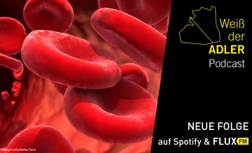 Visualisierung von schwebenden roten Blutkörperchen. Bild Design Cells / Adobe Stock