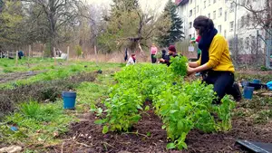 Gemeinschaftsgarten in Berlin Neukölln © Nomadisch Grün / Prinzessinnengarten