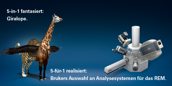 Bild: Bruker Nano GmbH